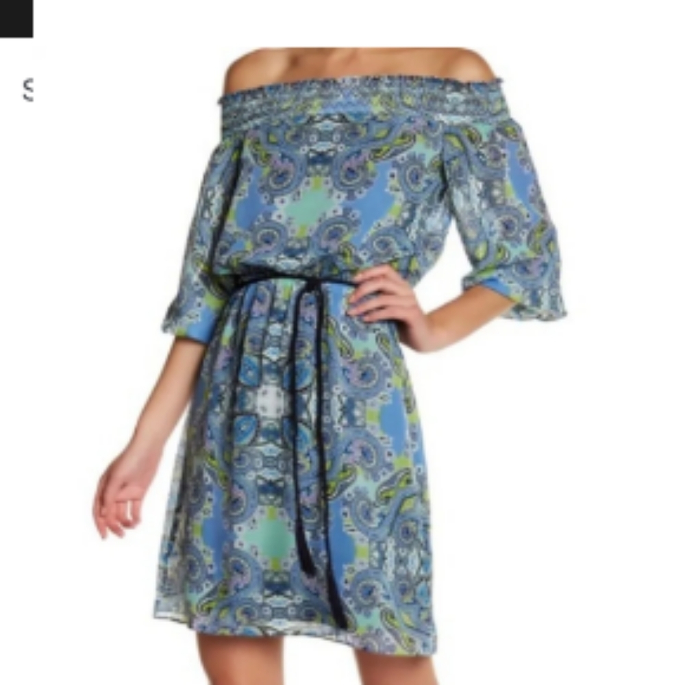 Eliza J Paisley Chiffon dress